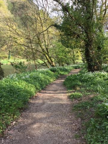 Riverside Stay Gunnislake Exteriér fotografie